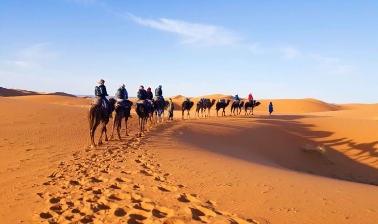 为什么骆驼被称为“沙漠之舟”？