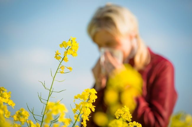 为什么有的人会花粉过敏？